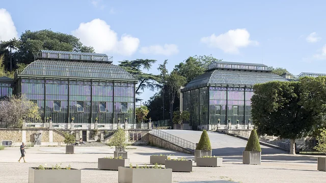 Grandes Serres du Jardin des Plantes, structure vitrée et végétation.
