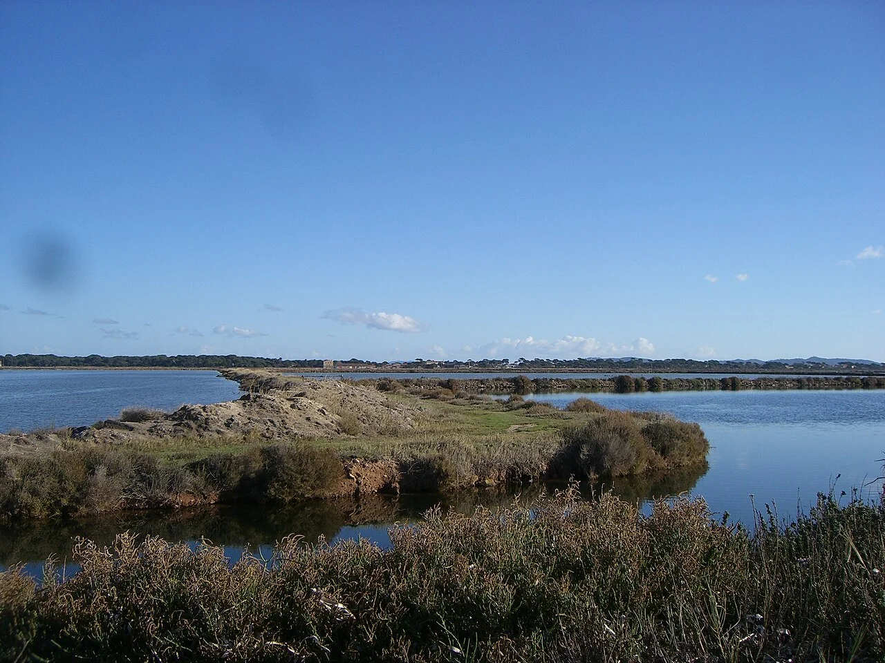 Étendues d’eau et berges des Vieux Salins d’Hyères.